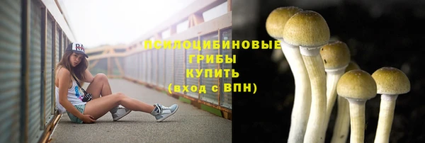 экстази Покачи