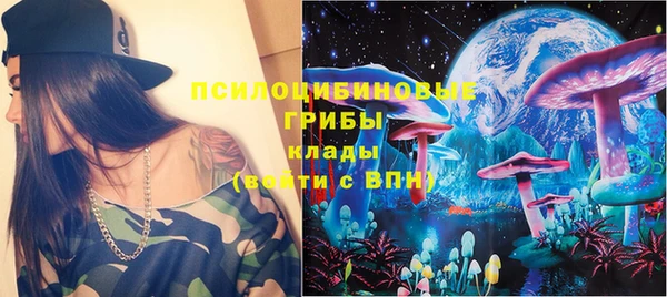 PSILOCYBIN Покров