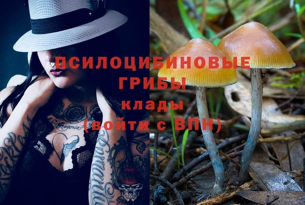 трава Абаза