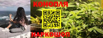 сатива Абинск