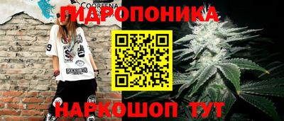 скорость Абакан