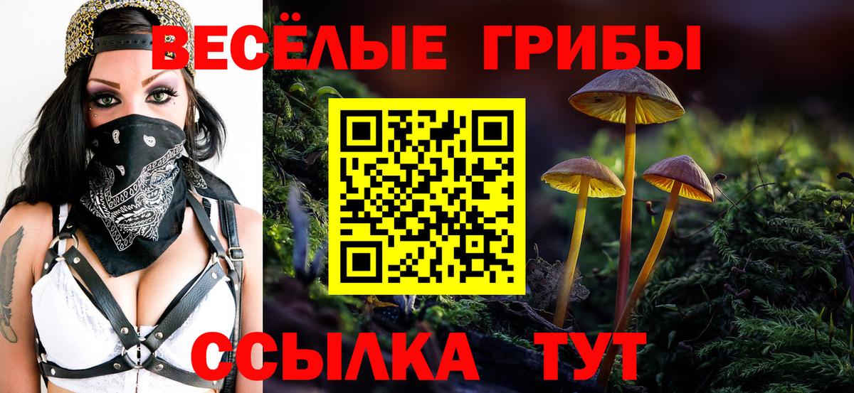 Галлюциногенные грибы GOLDEN TEACHER Абинск