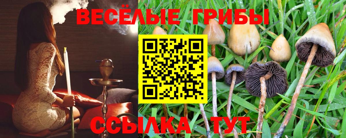 Псилоцибиновые грибы Magic Shrooms  хочу   Вход с VPN  Абинск  Псилоцибиновые грибы мицелий 