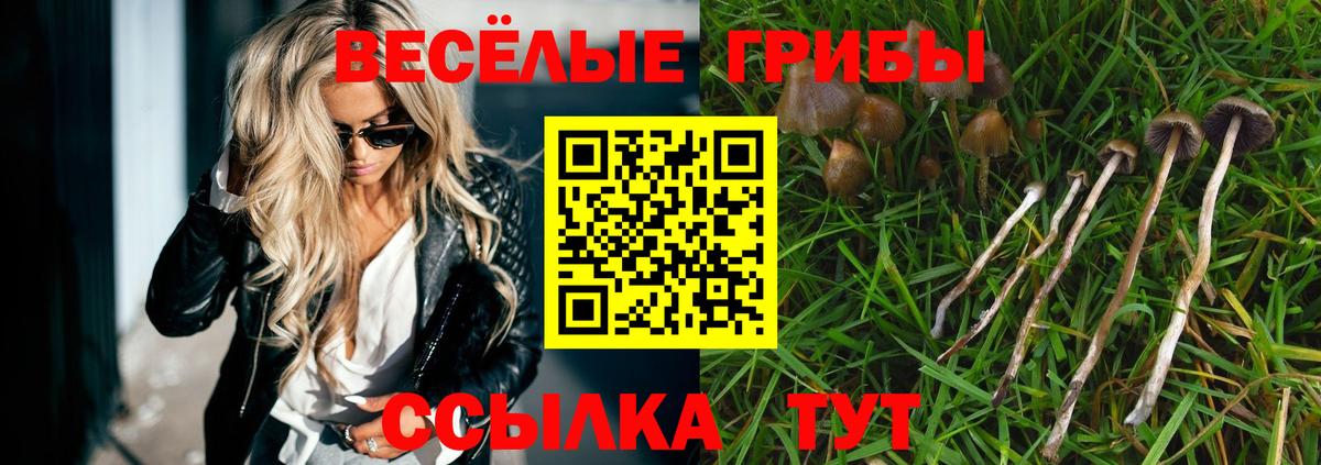 Галлюциногенные грибы Magic Shrooms Абинск