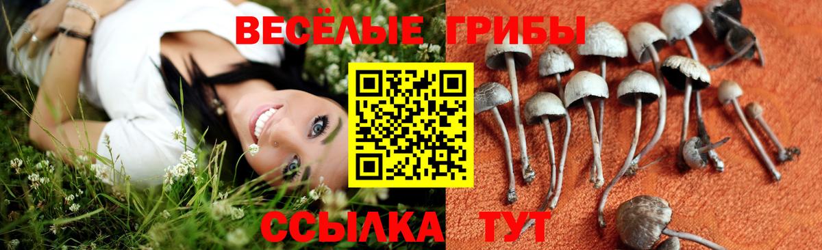 Абинск  Псилоцибиновые грибы MAGIC MUSHROOMS  Вход с VPN 