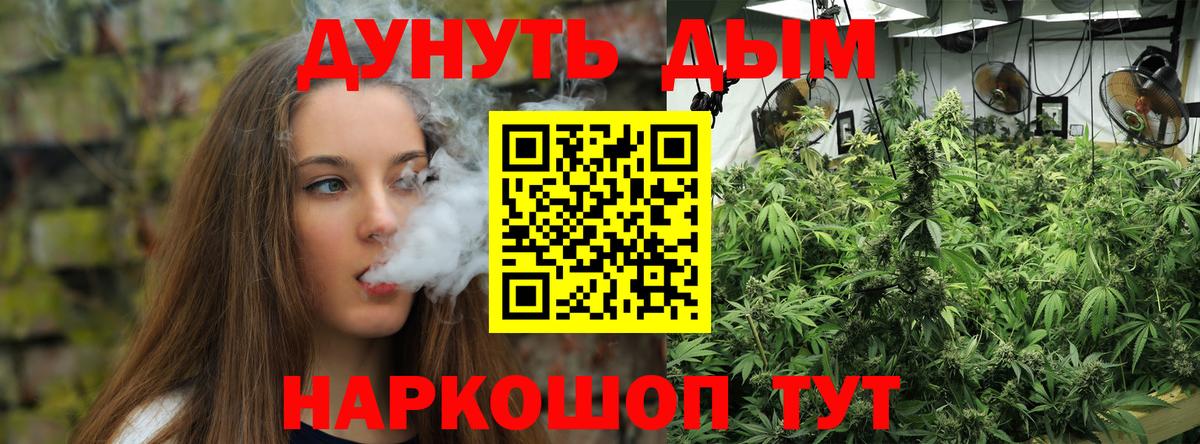 Бошки Шишки семена  Вход с VPN  Абинск  Конопля Ganja  МАРИХУАНА Ganja  Канабис SATIVA & INDICA 